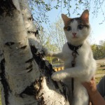 Лия (Котя, Зая)