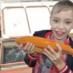 Ремизов Денис