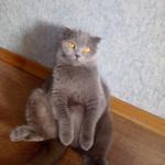 Данька