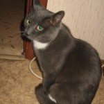 Кузьма
